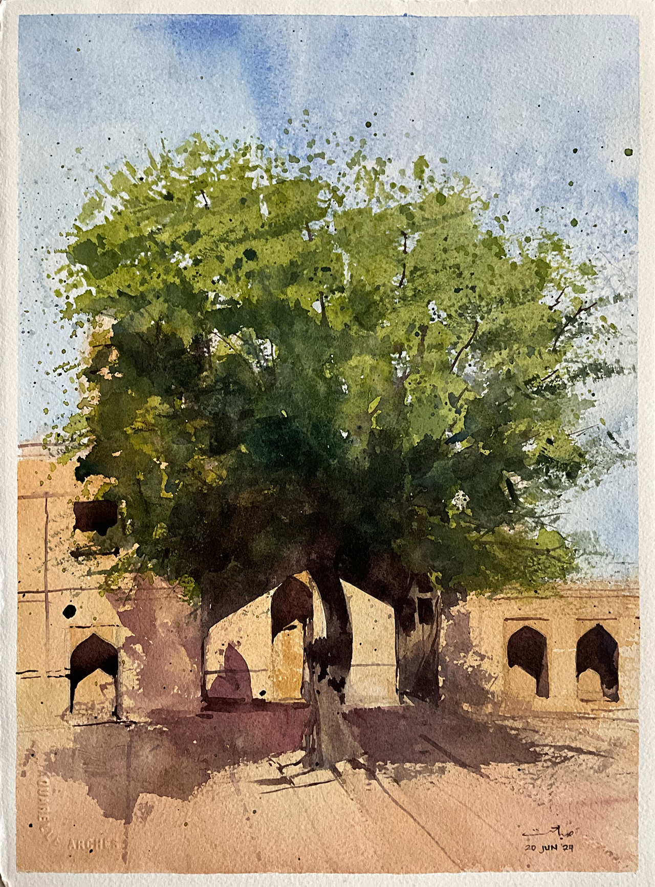 Makli’s Neem Trees